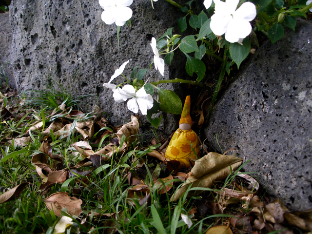 Tiny yellow dolls, rocks and Buzzy Lizzy plants